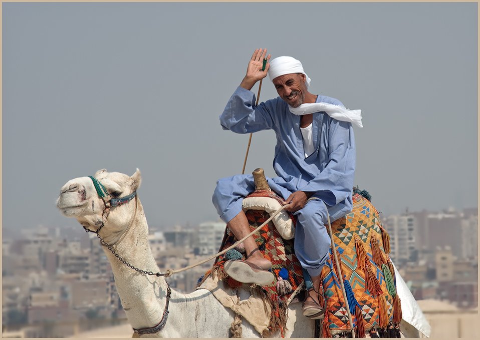 египет,каир,араб,верблюд,путешествие, Ravilin