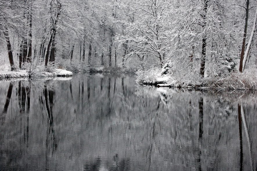 зима,снег, лес, природа, озеро., pavel