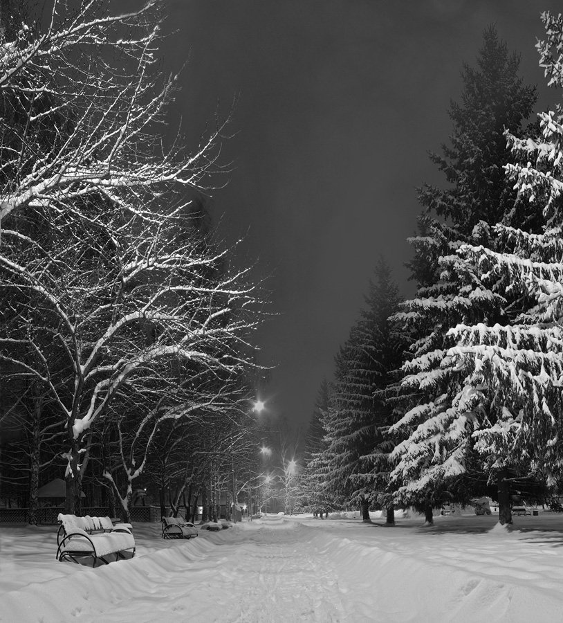 снег, парк, ночь, Алексей Баяндин