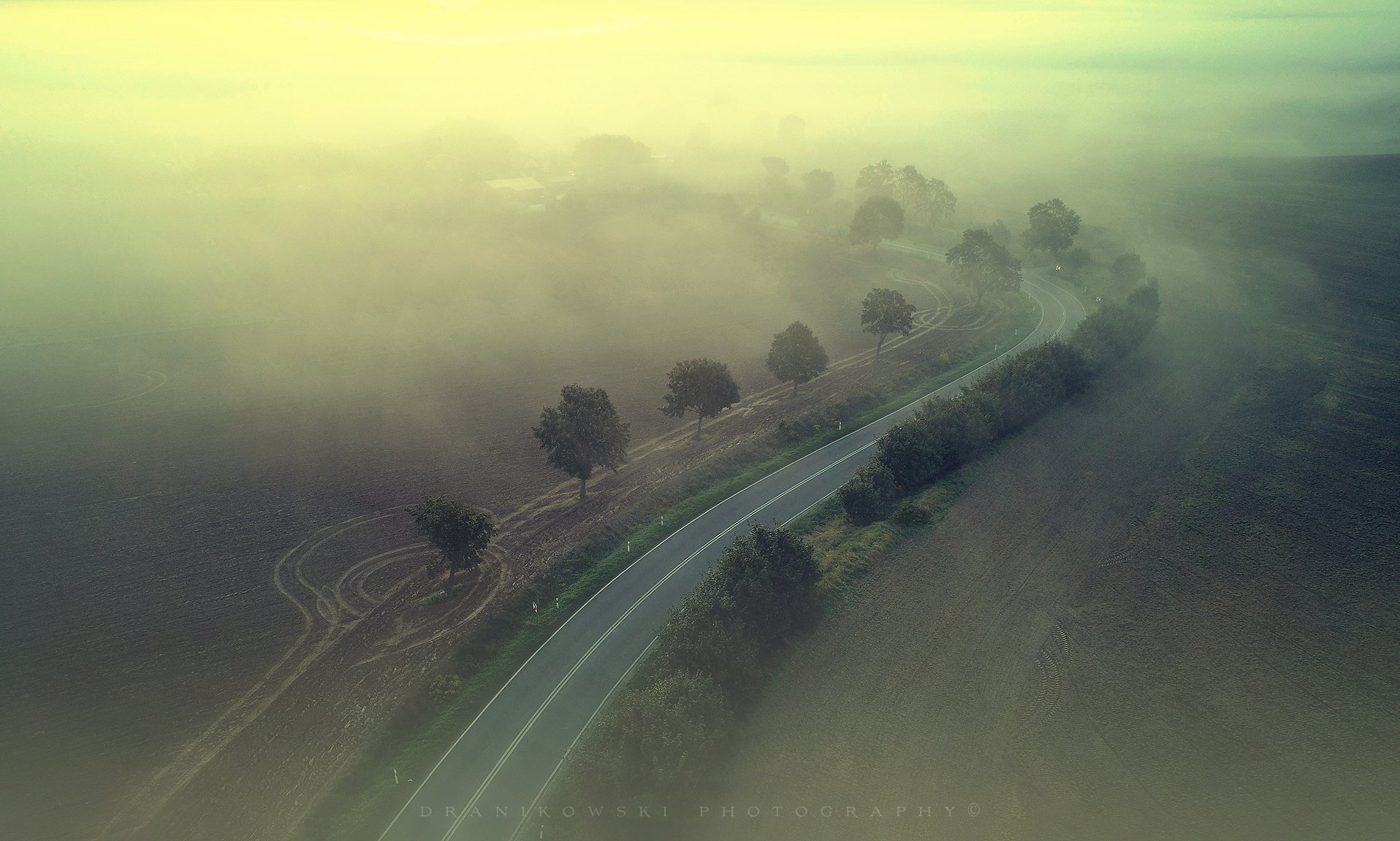 путь домой dji phantom road trees mist foggy magic curve dron, Radoslaw Dranikowski