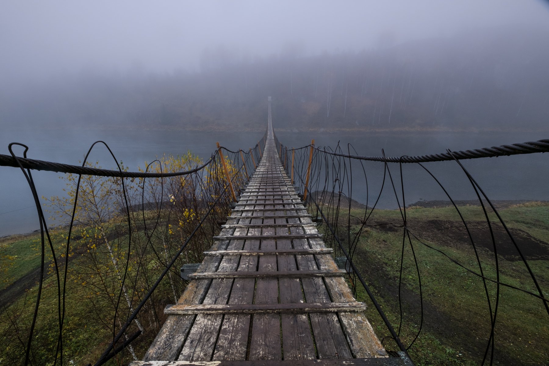 осень, туман, подвесной мост, мост, река, перспектива, Савицкий Ян