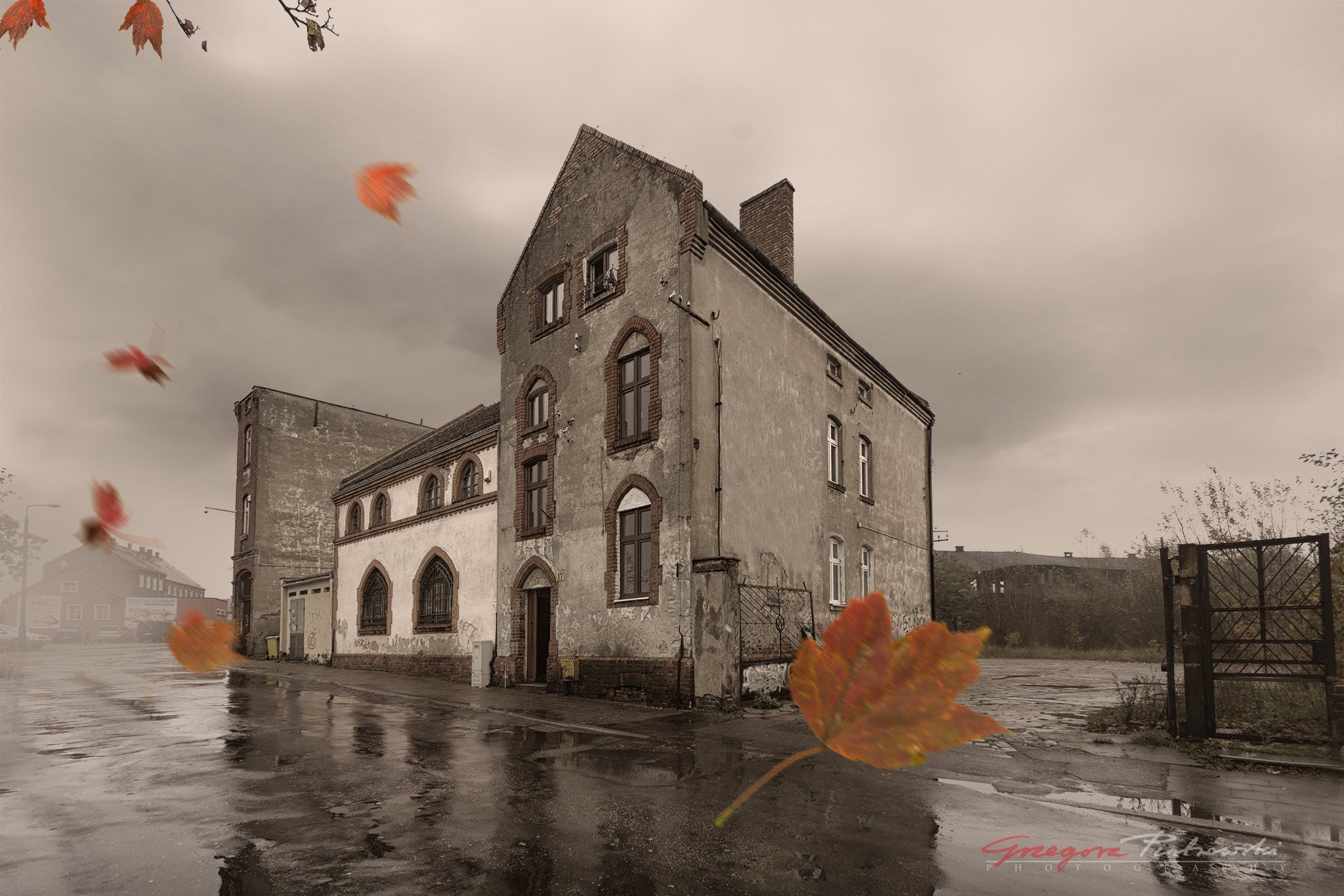 sadness, autumn, Grzegorz Piotrowski