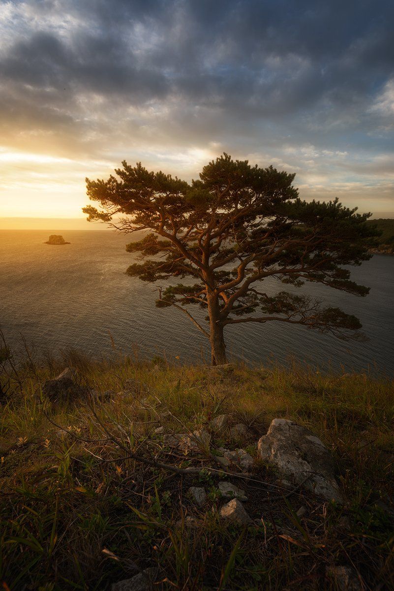 приморский край, заповедник, рассвет, море, солнце, Сорокин Алексей