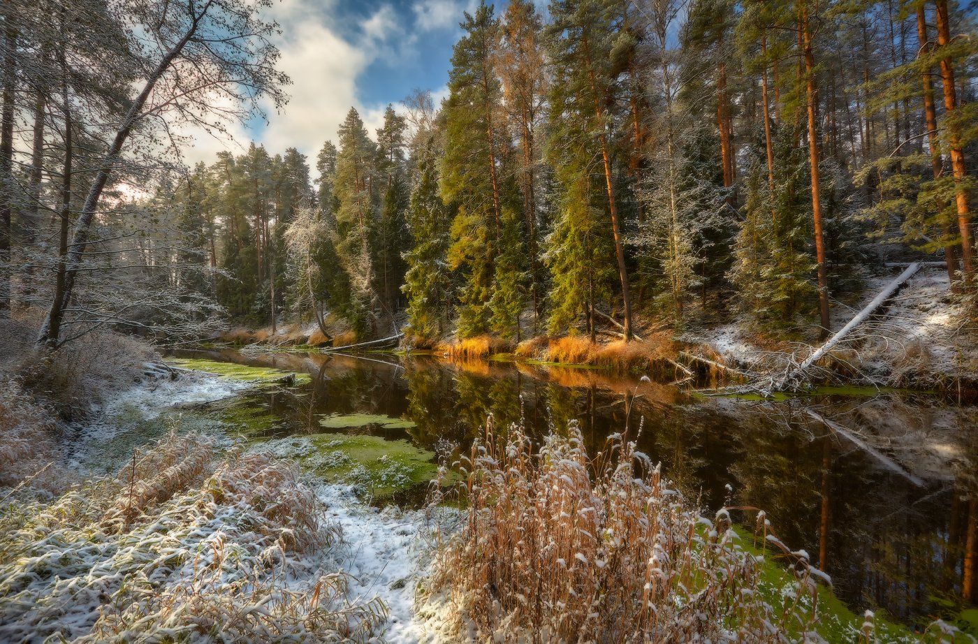 35 Фото Фотосайт