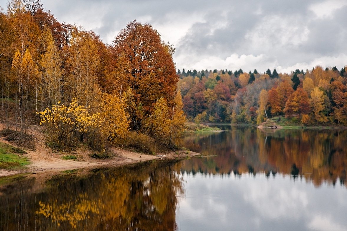 осень, лес, озеро, пасмурно, отражение, Yakovlev Artur