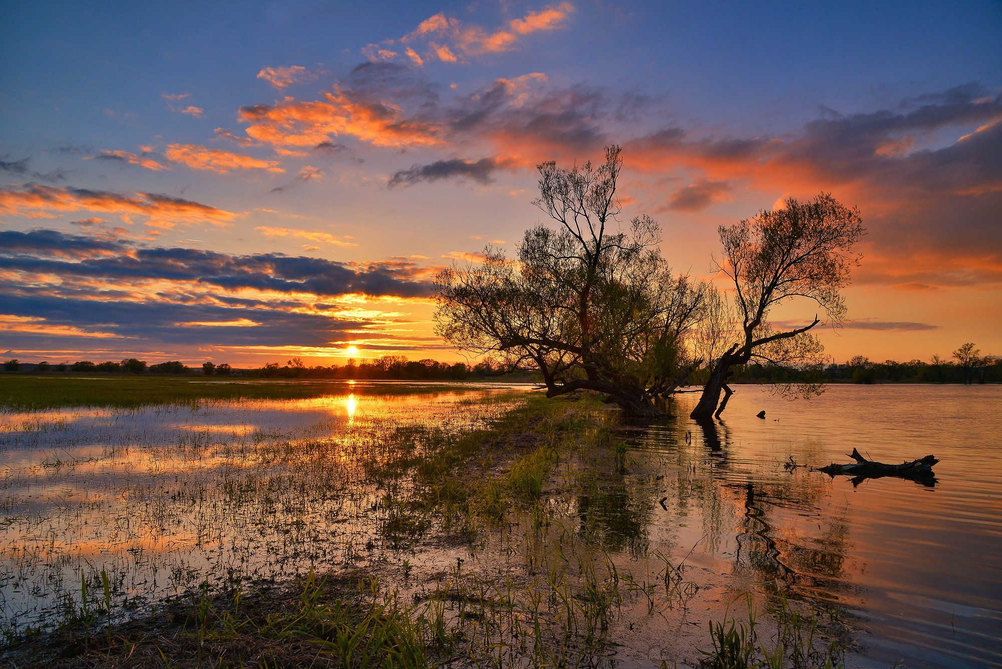 заводи sunset over backwaters water sky tree sun grass clouds nature color lake, Radoslaw Dranikowski