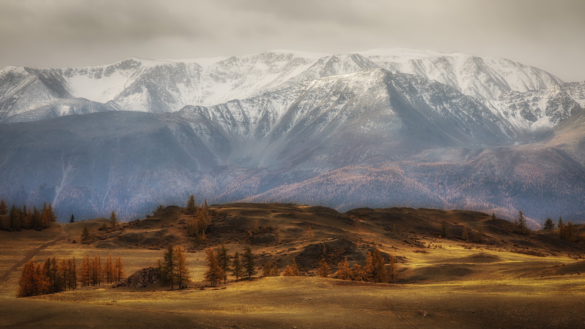 алтай, курайская, Дмитрий Антропов