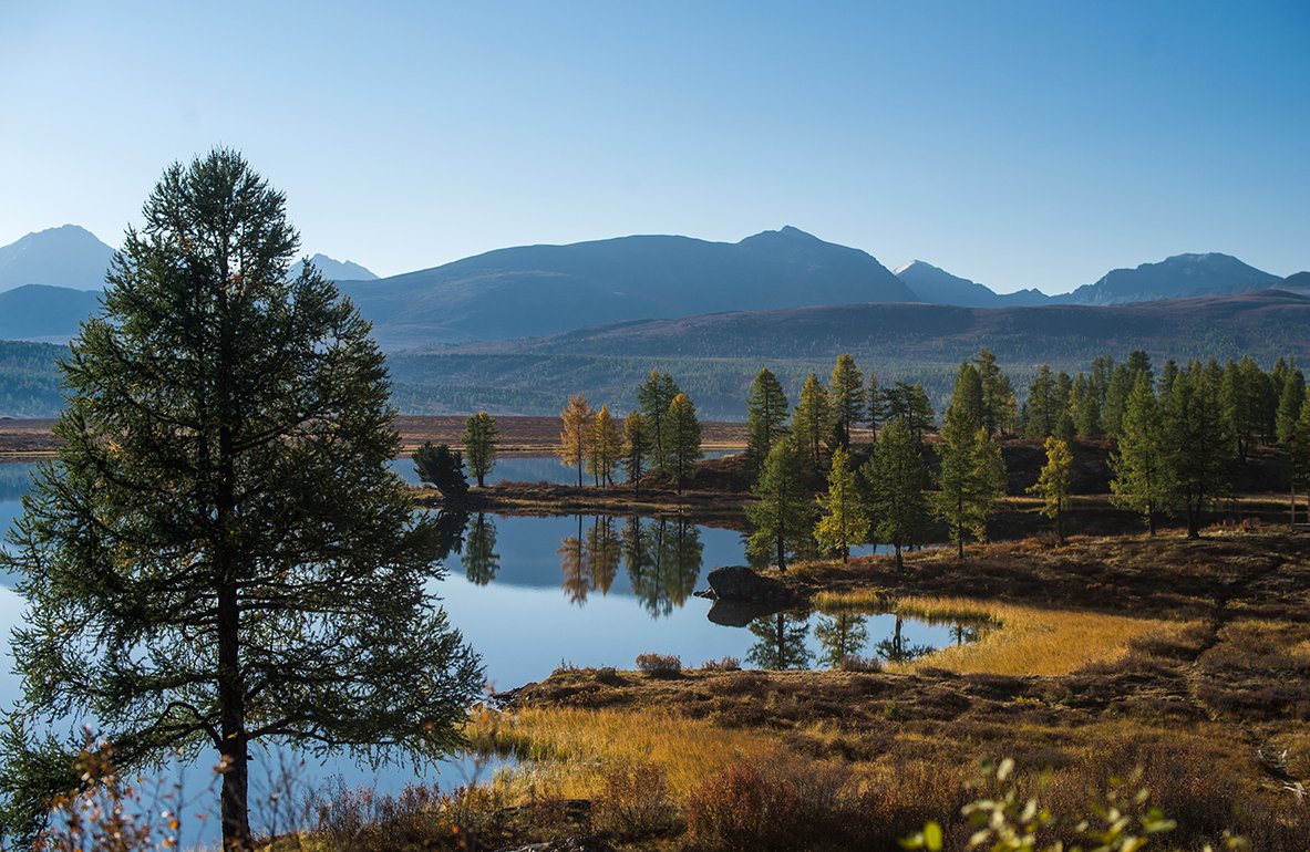 осень,утро,озеро,красиво, Соболев Сергей