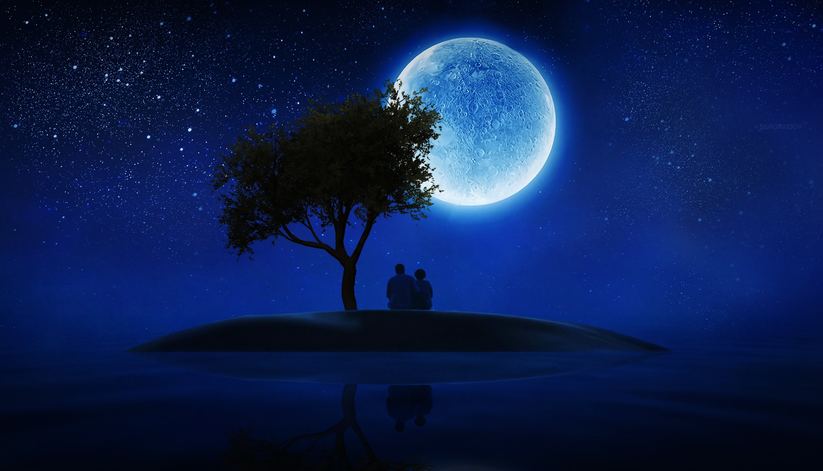 Говорили под луной. Лунная ночь. Фон ночь. Фон ночь Луна. Луна и дерево.