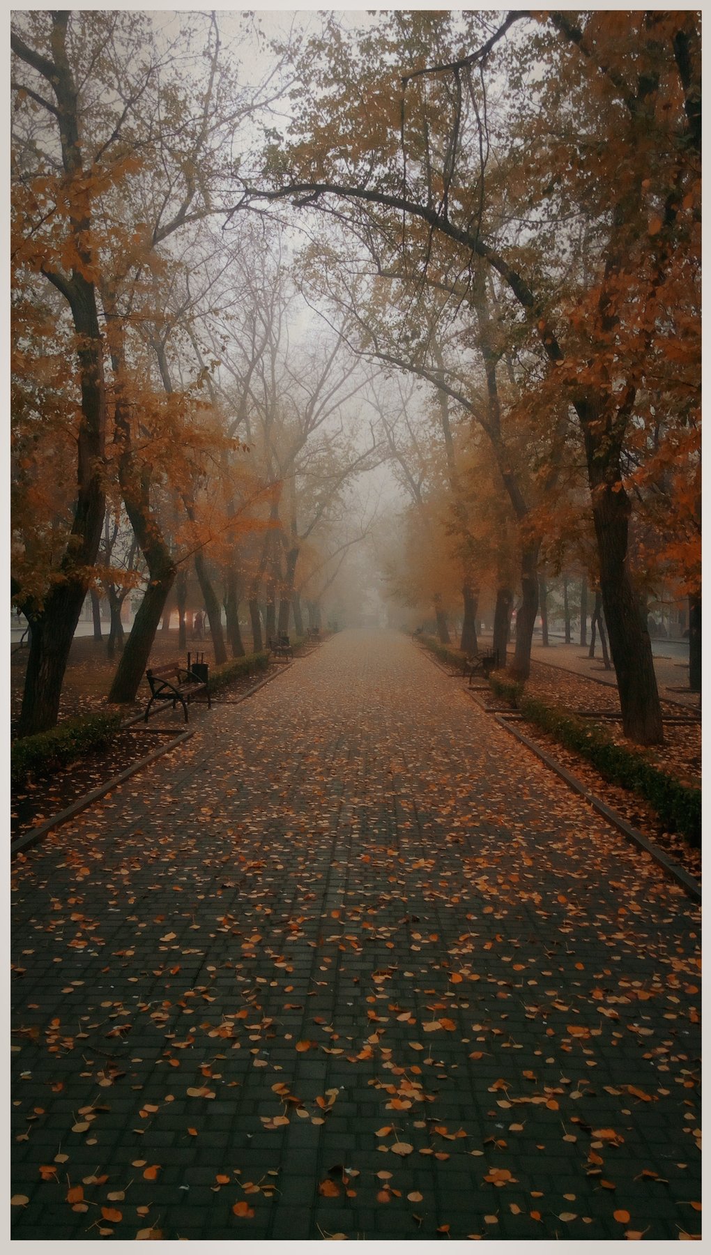 осень, городской парк, Sergii Vidov