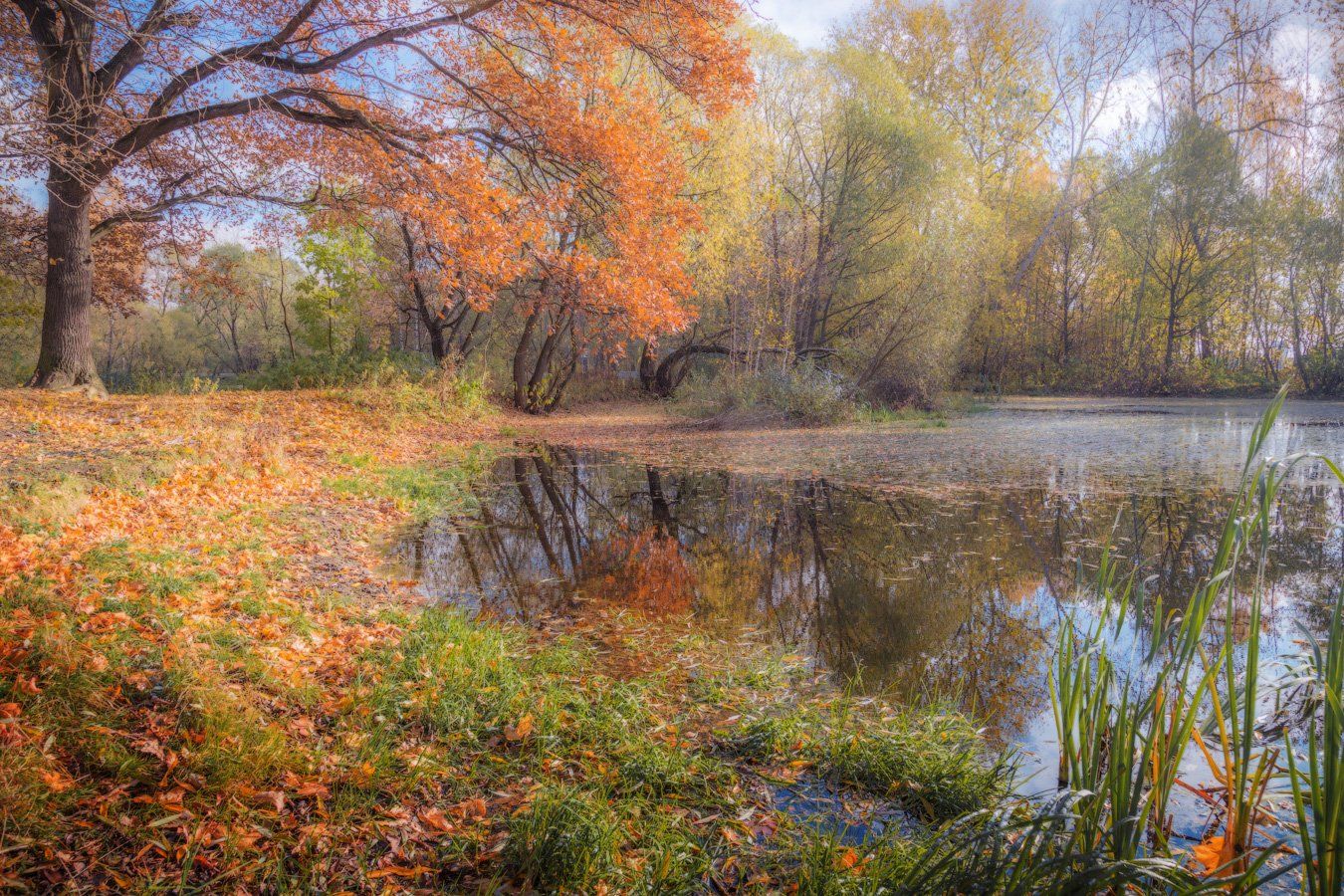 осень, парк, листва, золотая, природа, солнце, Виктор Климкин