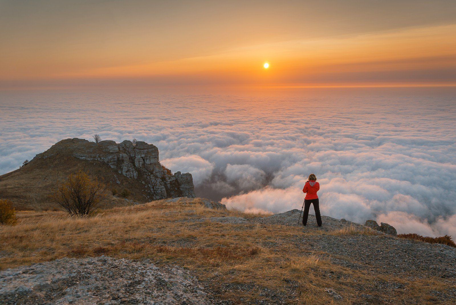 , Алексей Яковлев