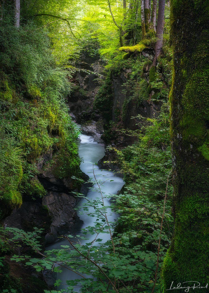 awesome, bavaria, bayern, bourn, breathtaking, brook, bush, canyon, cliff, fabulous, fantastic, forest, germany, glow, green, hintersee, moss, mystic, mythical, natur, outdoors, ramsau, ramsauer ache, rill, river, rock, stream, stunning, tree, treetrunk. , Ludwig Riml