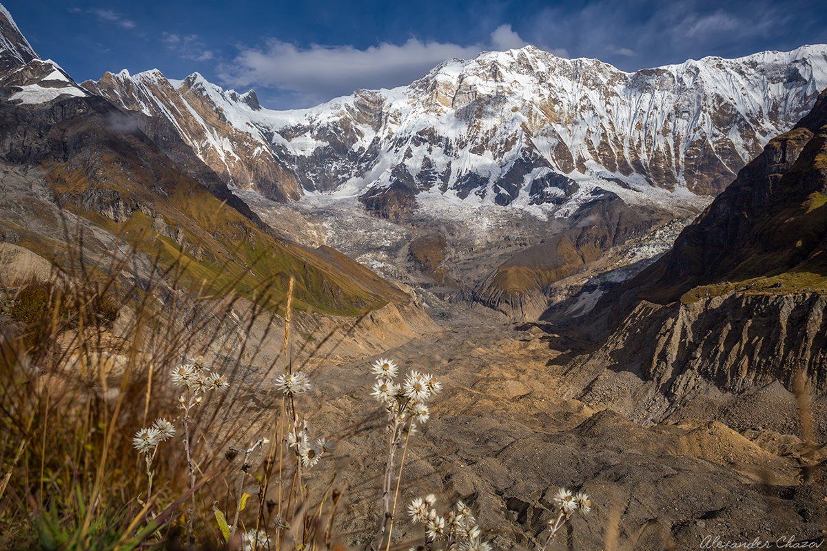 гималаи, непал, аннапурна, горы, вершина, облака, ледник, Александр Чазов