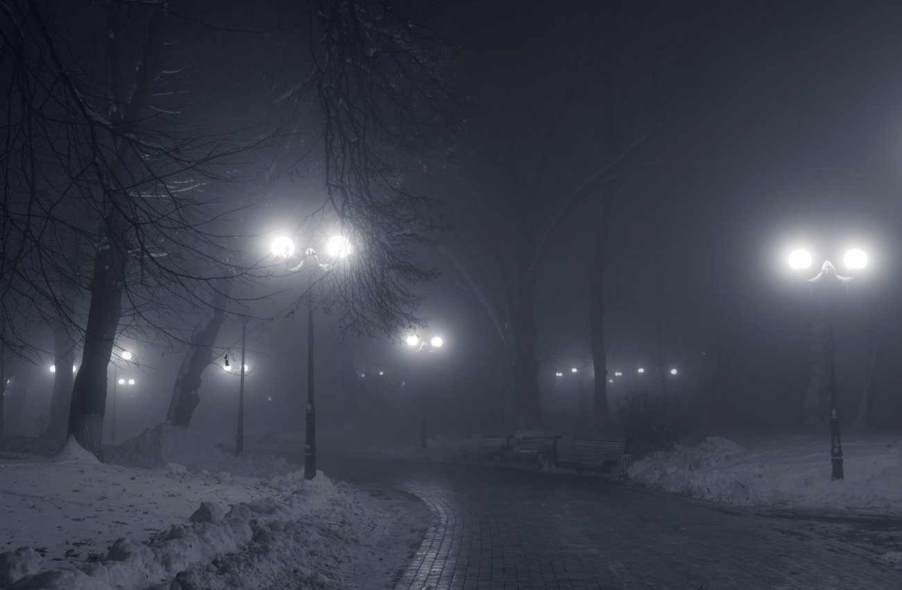 парк, город, туман, снег, ночь, Галанзовская Оксана
