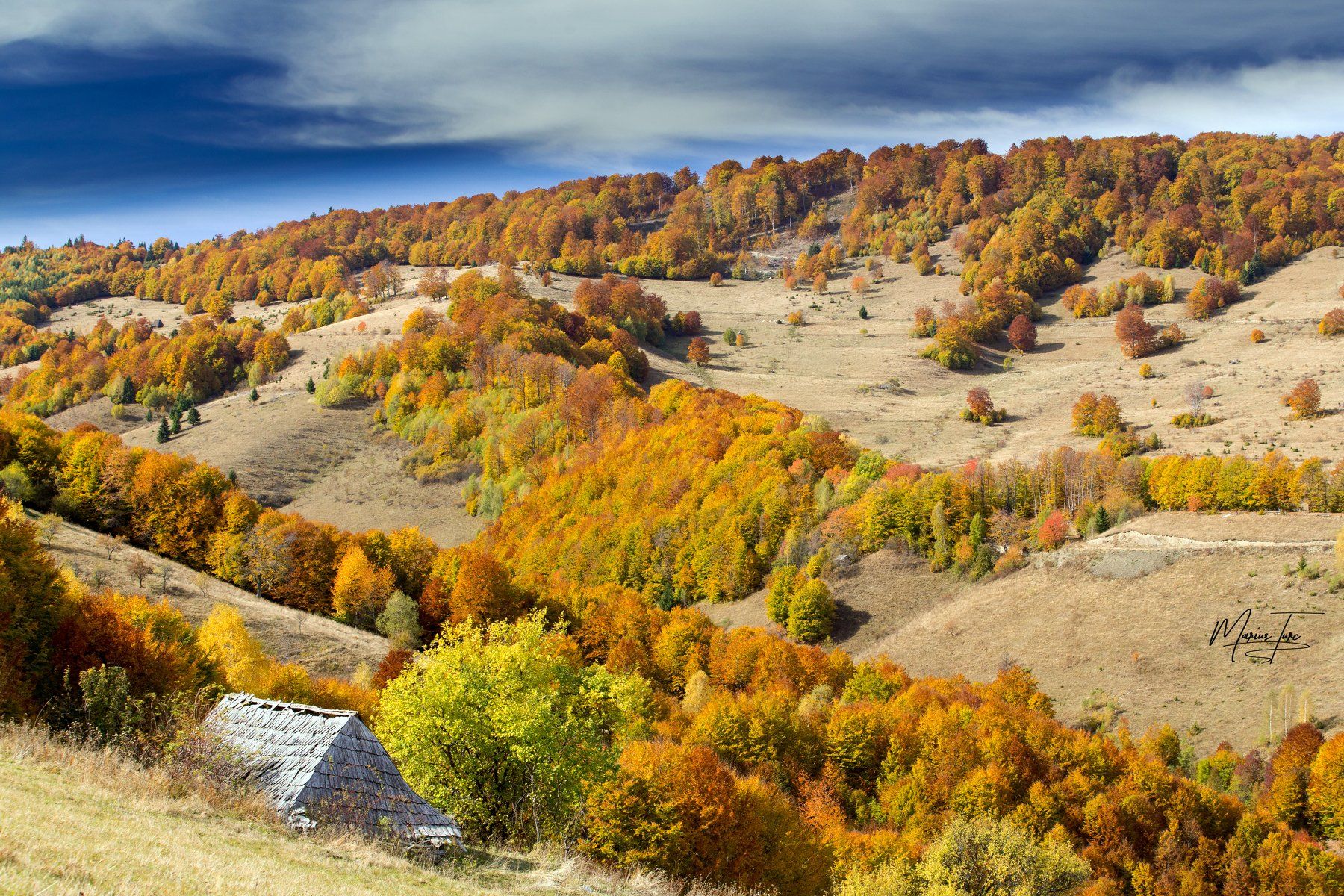 autumn,fall,colors,nature,apuseni,romania,hills,trees,, Marius Turc
