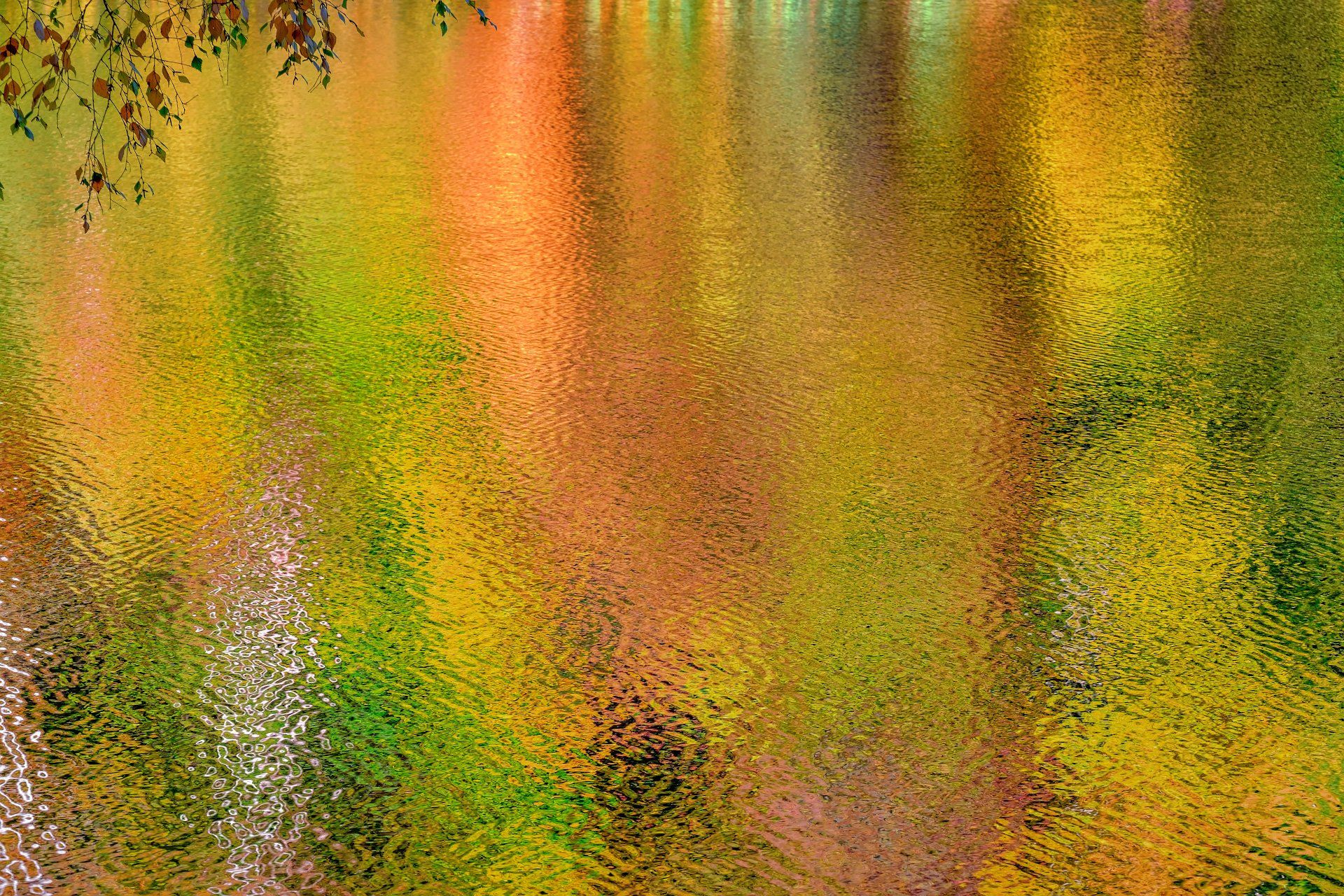 пруд, отражение, цвета, деревья, ветка, измайлово, Андрей Чиж
