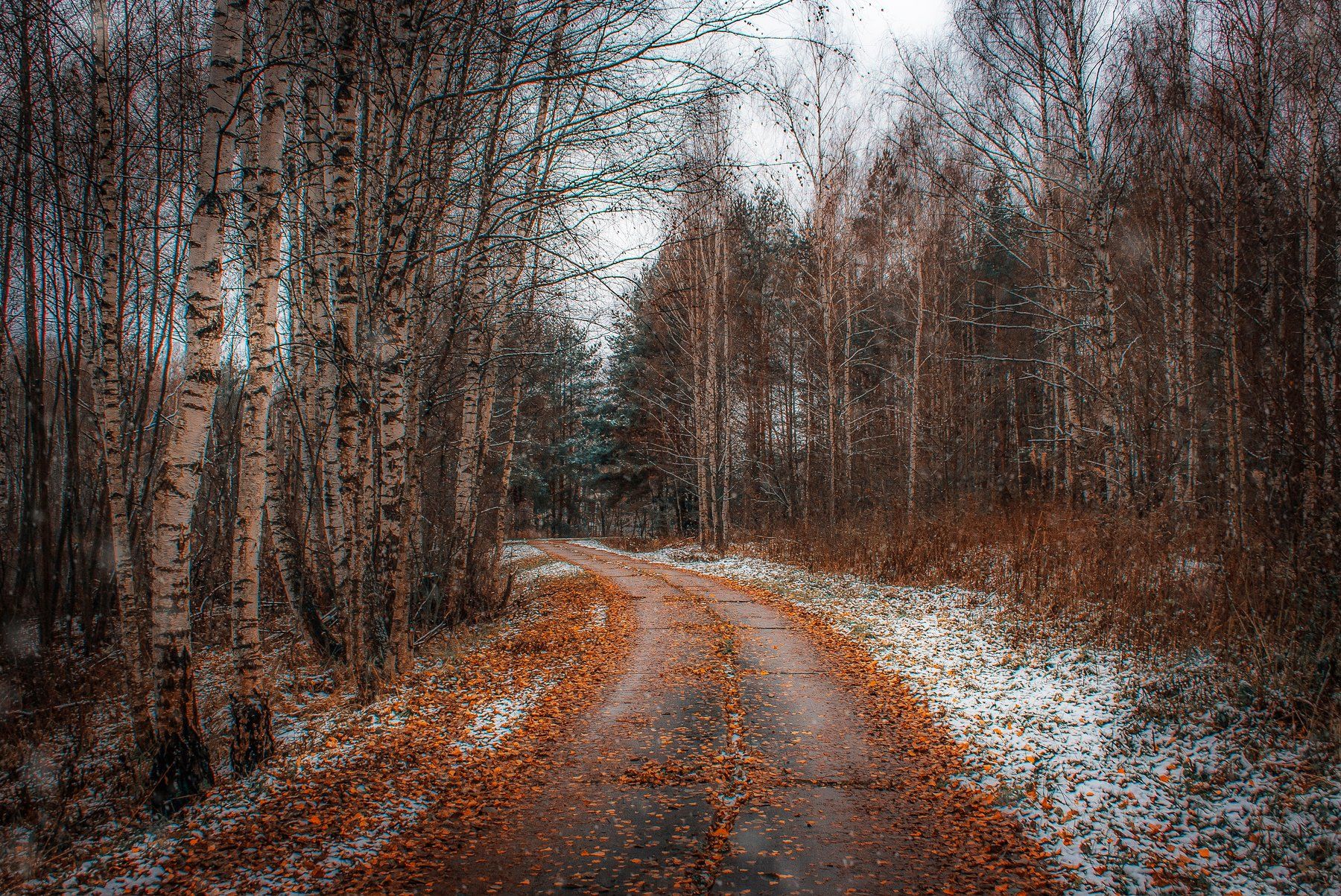 Ноябрь картинки. Поздняя осень. Лес поздней осенью. Поздняя осень фото. Поздняя осень в лесу.