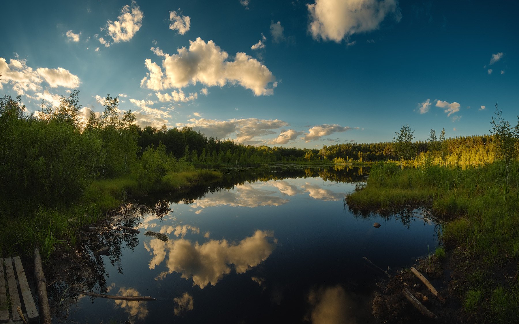 россия, московская область, природа, пейзаж, лето, закат, озеро, болото, панорама, Оборотов Алексей