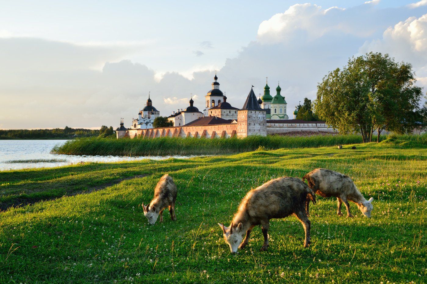 россия, кириллов, кирилло-белозерский, монастырь, козлята, вечер, озеро, сиверское, лето, Олеся Боева