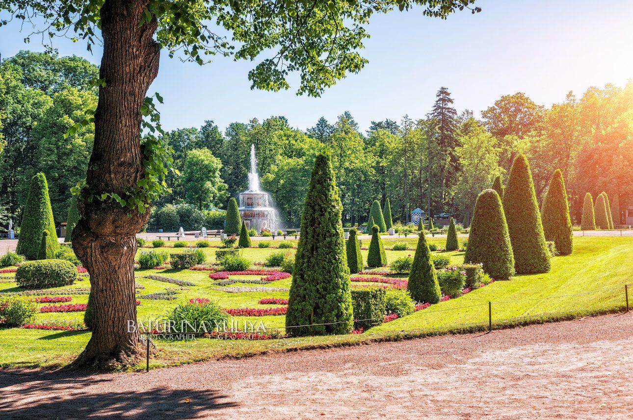 санкт-петербург, петергоф, парк, Юлия Батурина