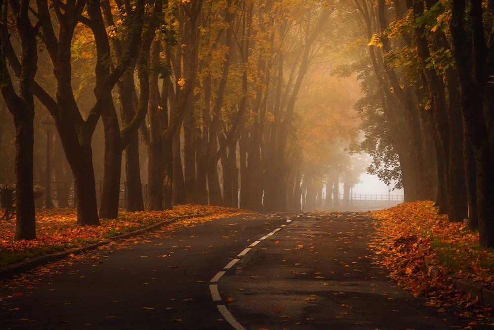 утро, туман, рассвет, осень, нарва, Aleksandr Kljuchenkow