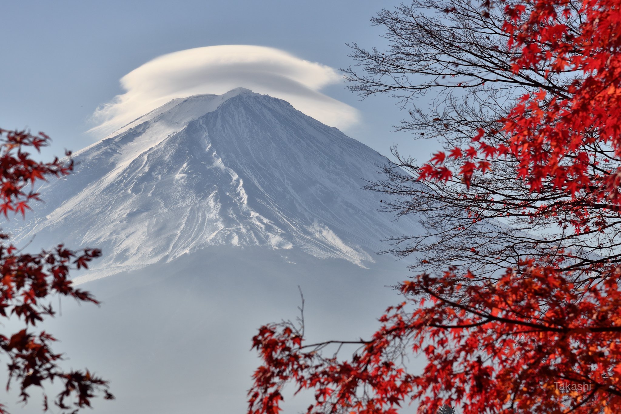 Fuji,Japan,mountain,clouds,lenticular clouds,maple,red,, Takashi