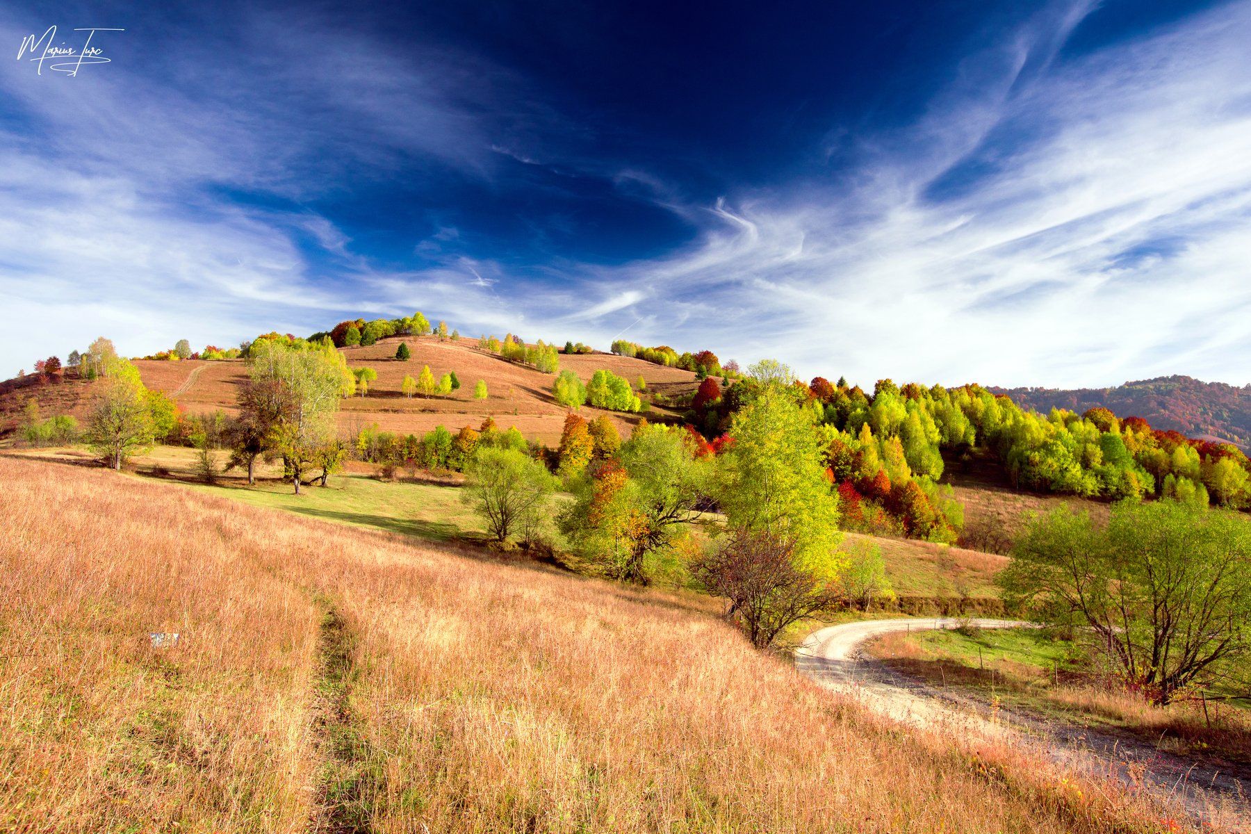 autumn,fall,colors,trees,road,sky, Marius Turc