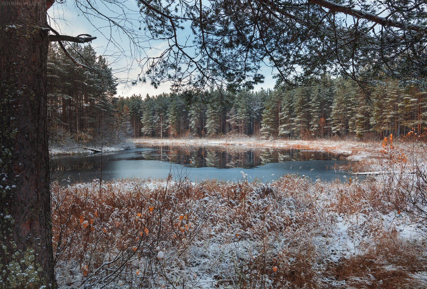 кулой,россия,снег,озеро,холодно,пейзаж,осень,лед,перспектива,лес,деревья, Виталий Истомин