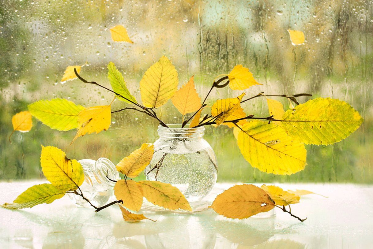 осень, листья, дождь, капли, Шруб (Беляева) Татьяна
