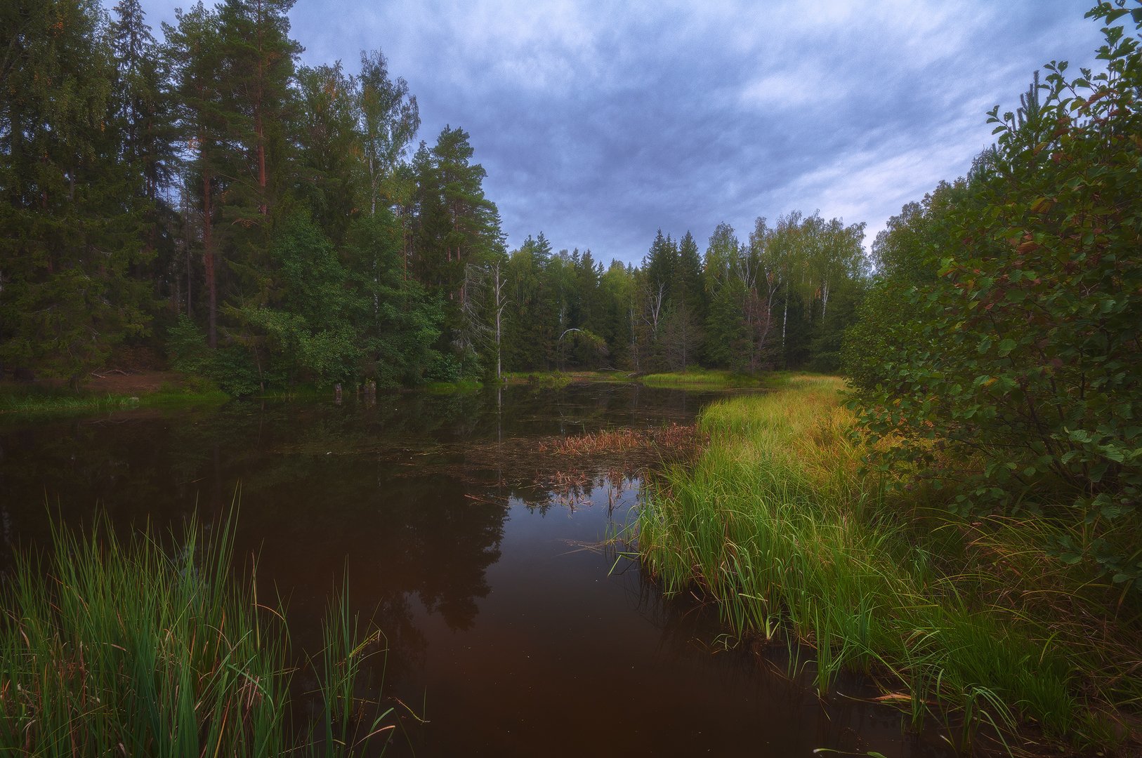 россия, подмосковье, осень, вечер, пруд, лес, деревья, вода, небо, облака, трава, тучи, Иван Мухин