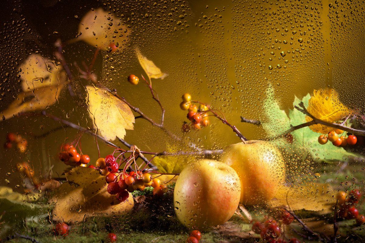 мокрое стекло, яблоки, осень, листва, настроение, осень, Tom Fincher
