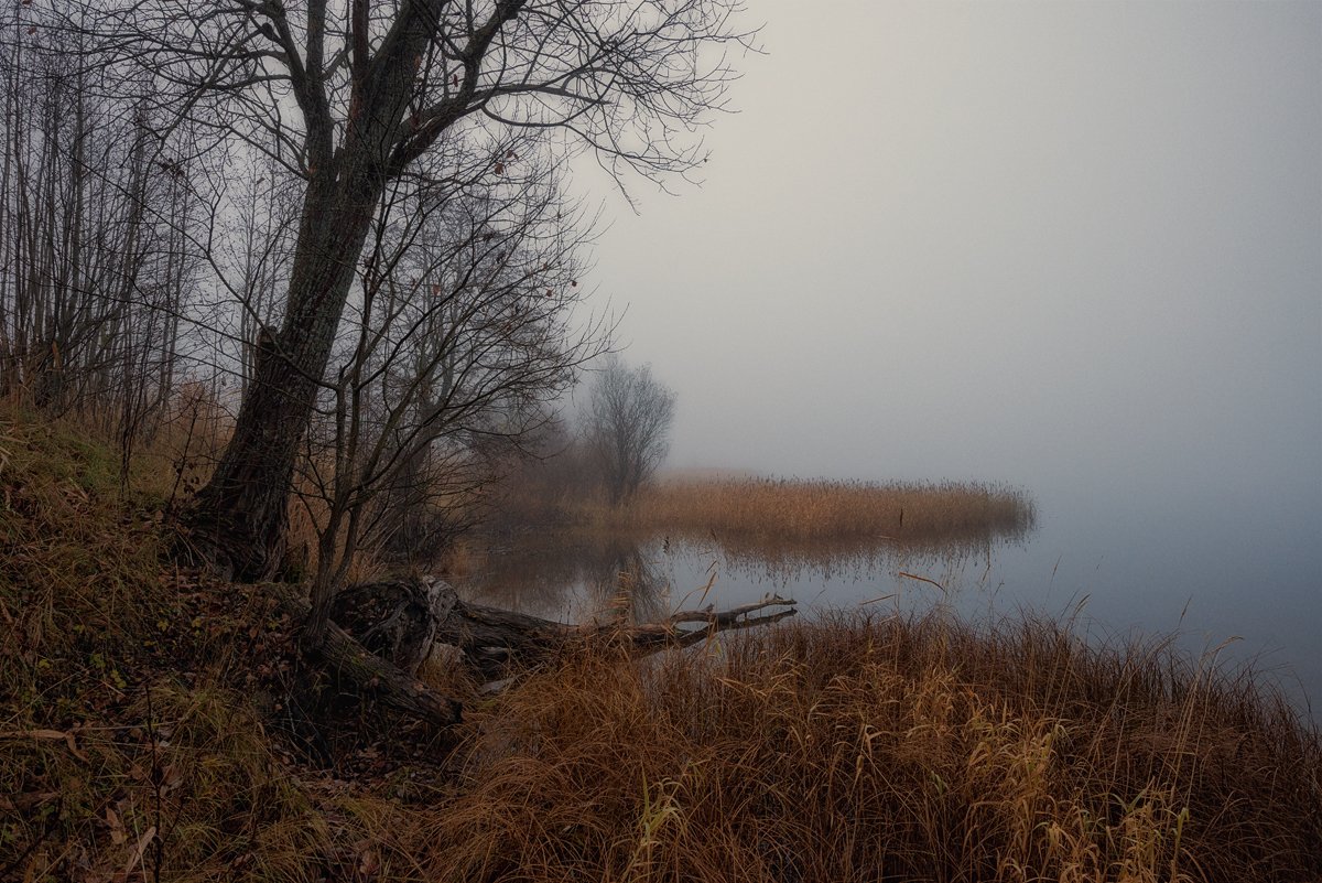 утро,осень,туман,река,пейзаж, Евгений Плетнев