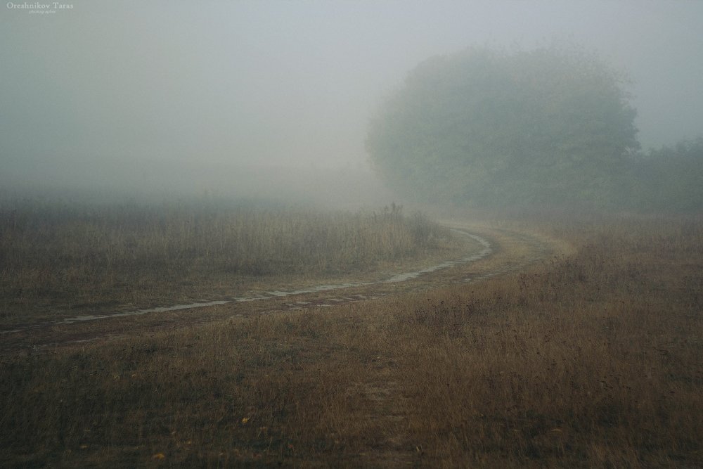 пейзаж,природа,осень,туман,рассвет,утро,дорога, Taras