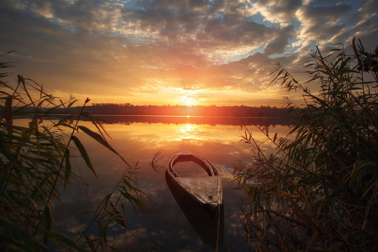 , Алексей Дранговский