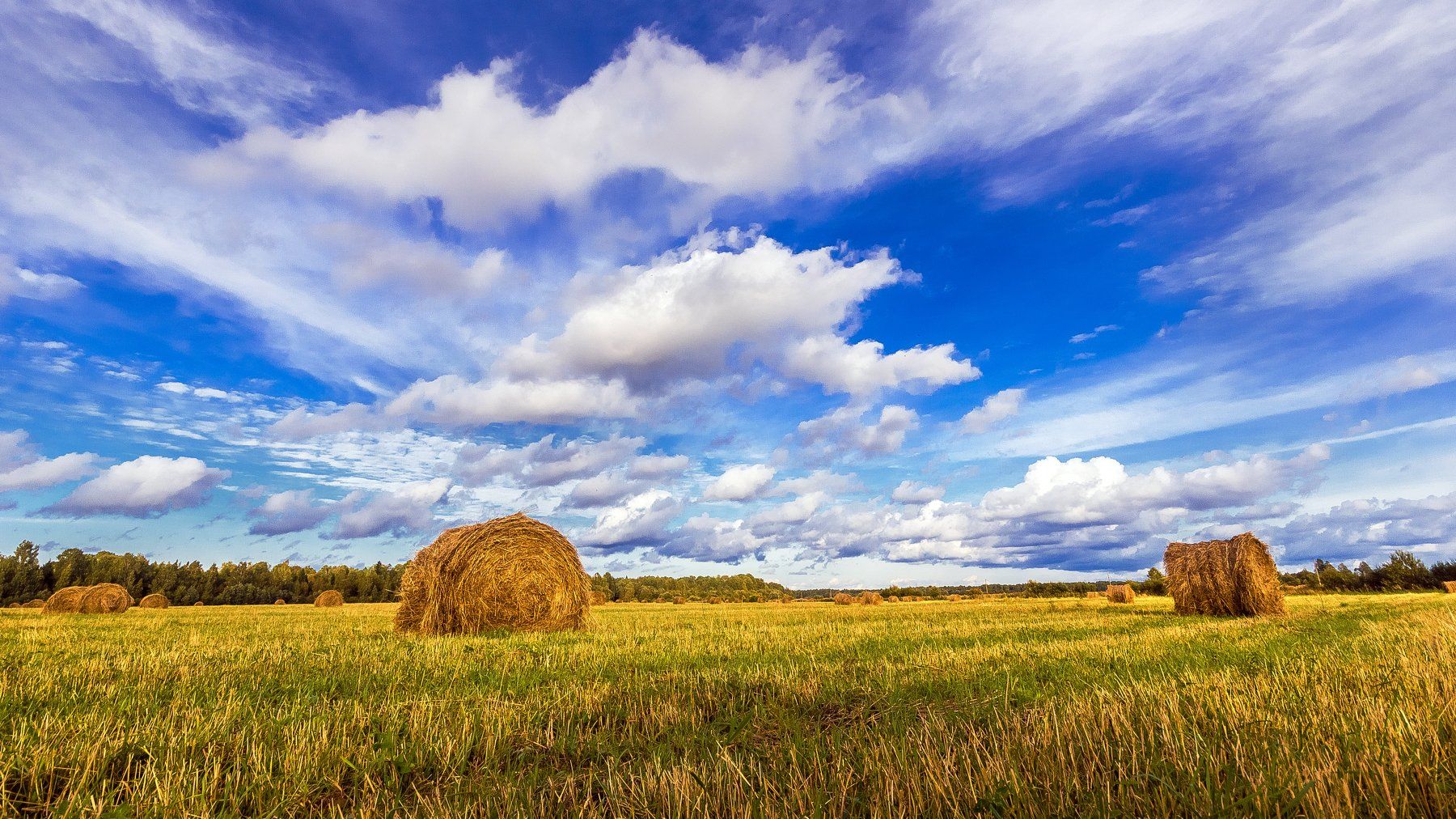 поле, стога, сено, небо, лето, деревня, пейзаж, Дмитриев Алексей
