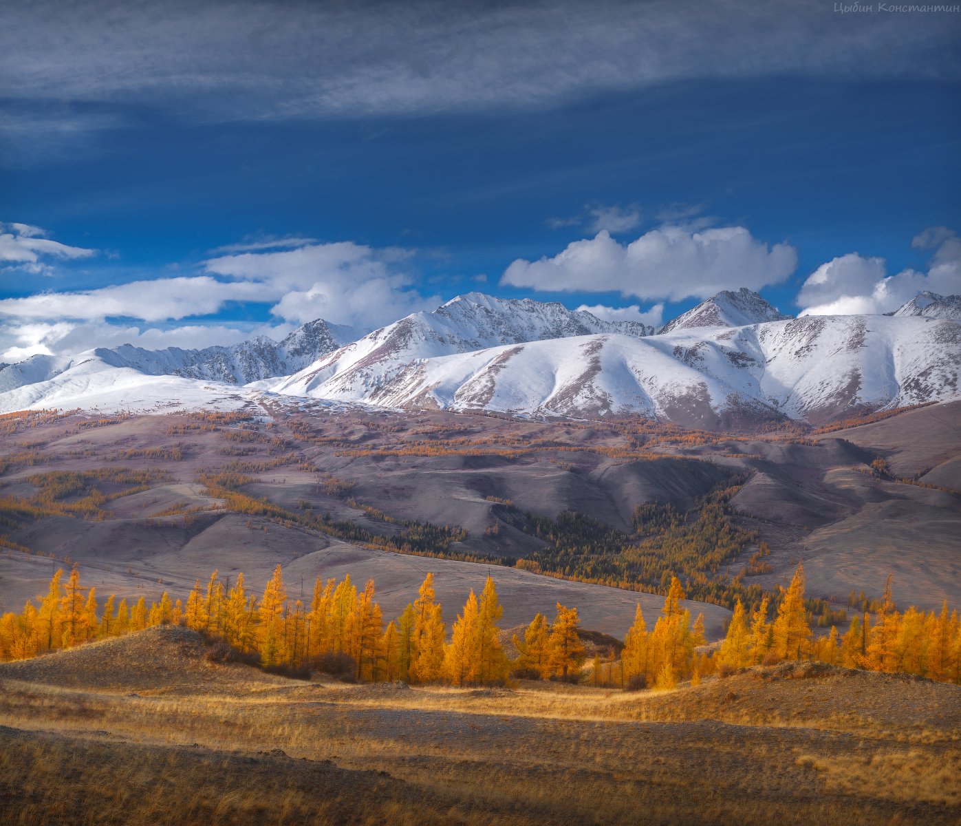 алтай, курай, курайский хребет, чуя, чуйский тракт, горы, осень, Цыбин Константин