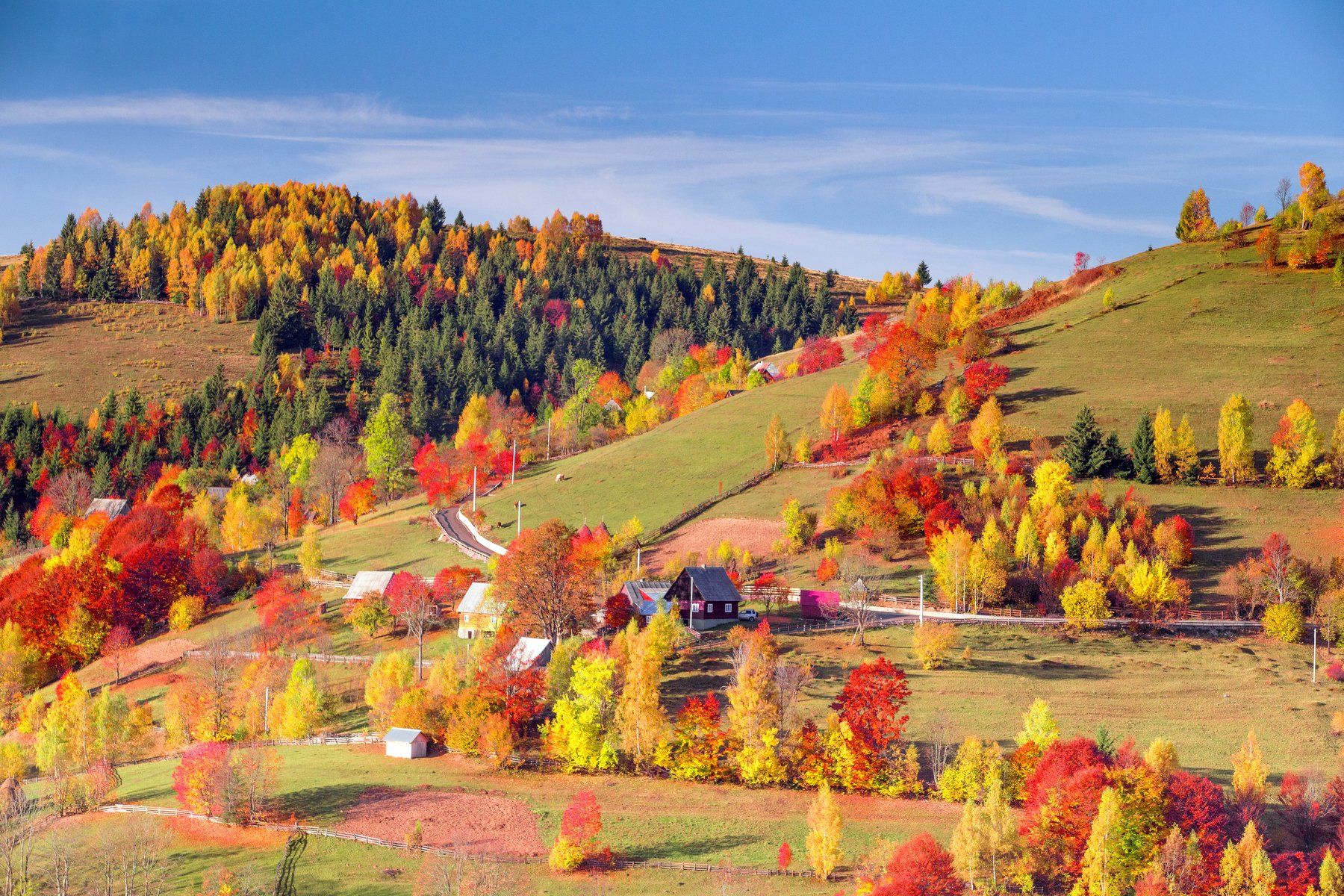 autumn,fall,colors,trees,hills,romania,apuseni,life, Marius Turc