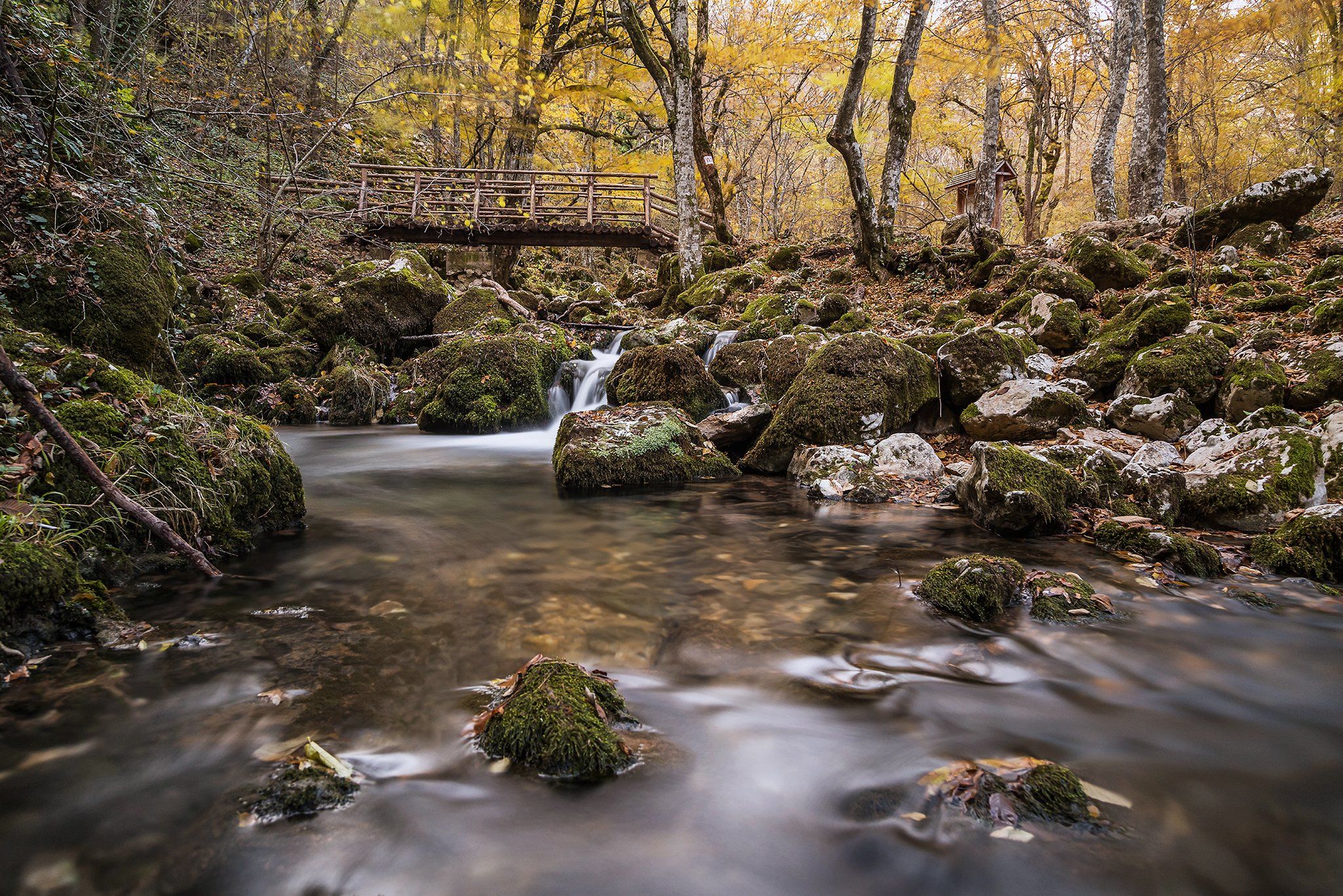 autumn, forest, river, bulgaria, Nikola Spasov