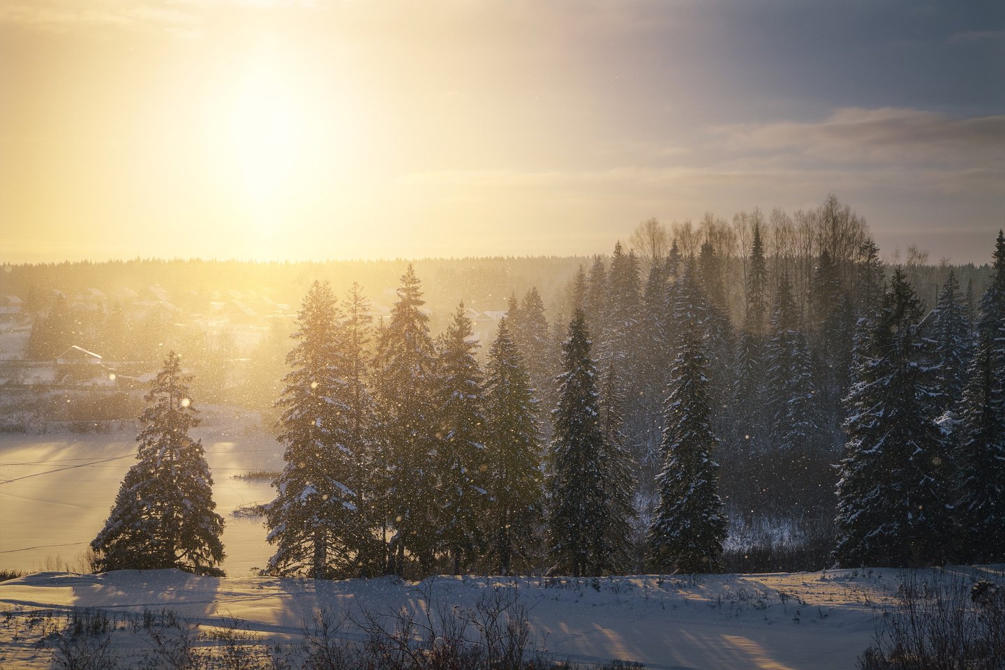 Снегопад, зима, вечер, солнце, деревья, Смольский Евгений