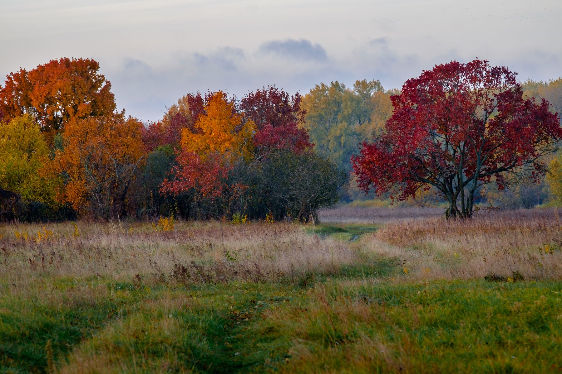 осень,пейзаж,природа,октябрь,дорога, Alex Arendar