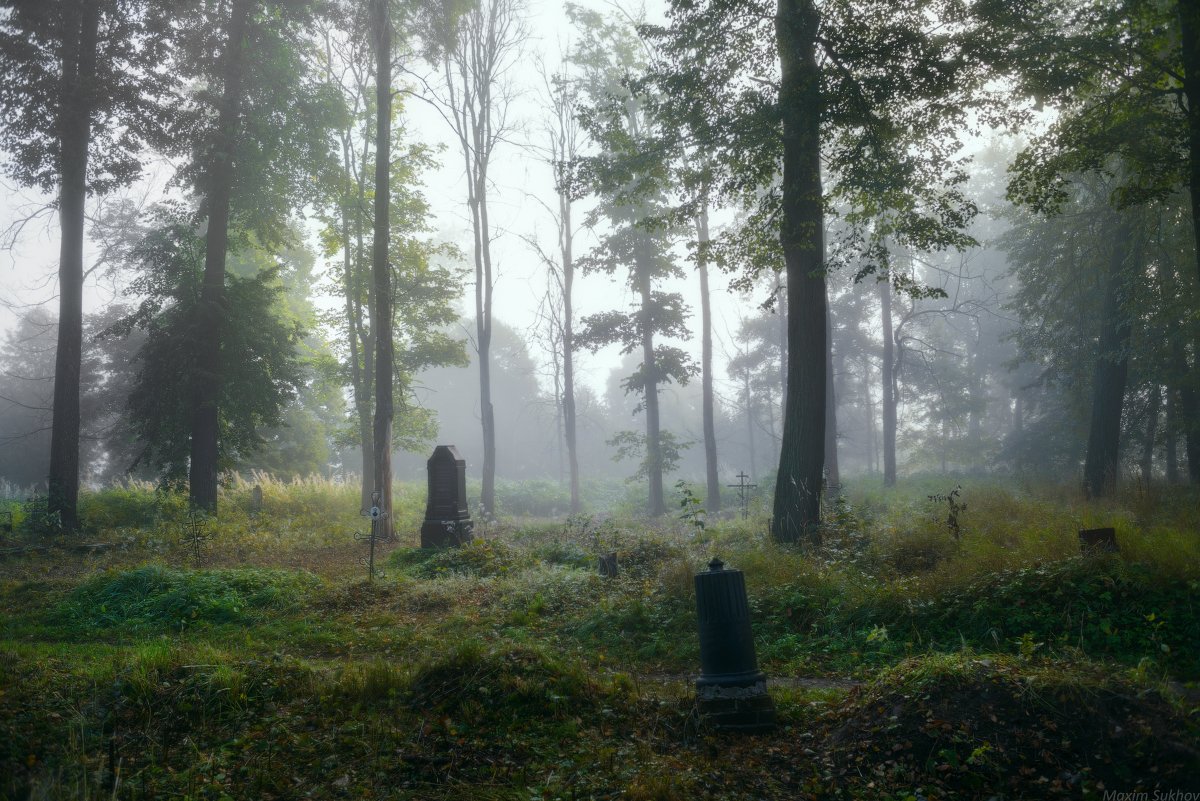 кладбище, утро, туман, безмятежность, Максим Сухов