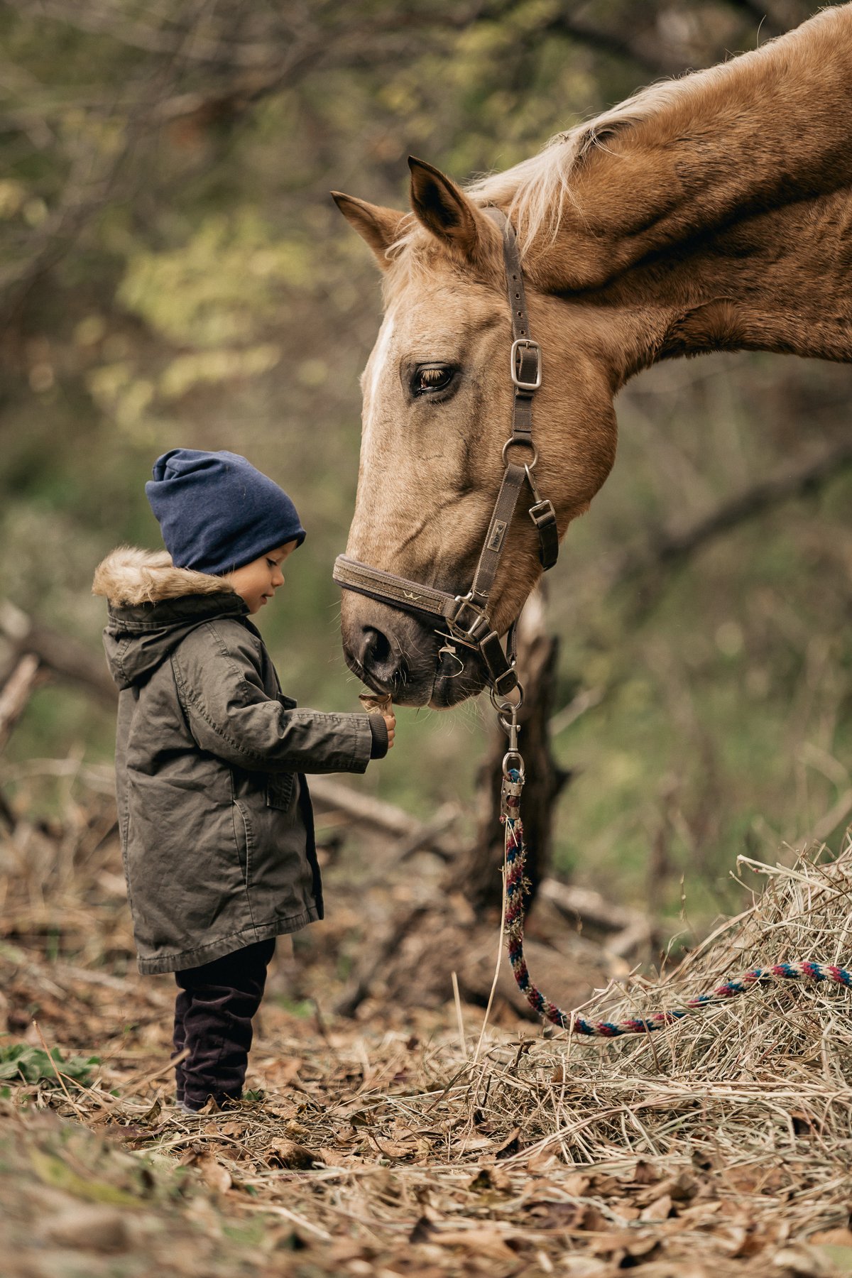 лошадь, мальчик, ребенок, дети, знакомство, детское фото, Антон Блохин