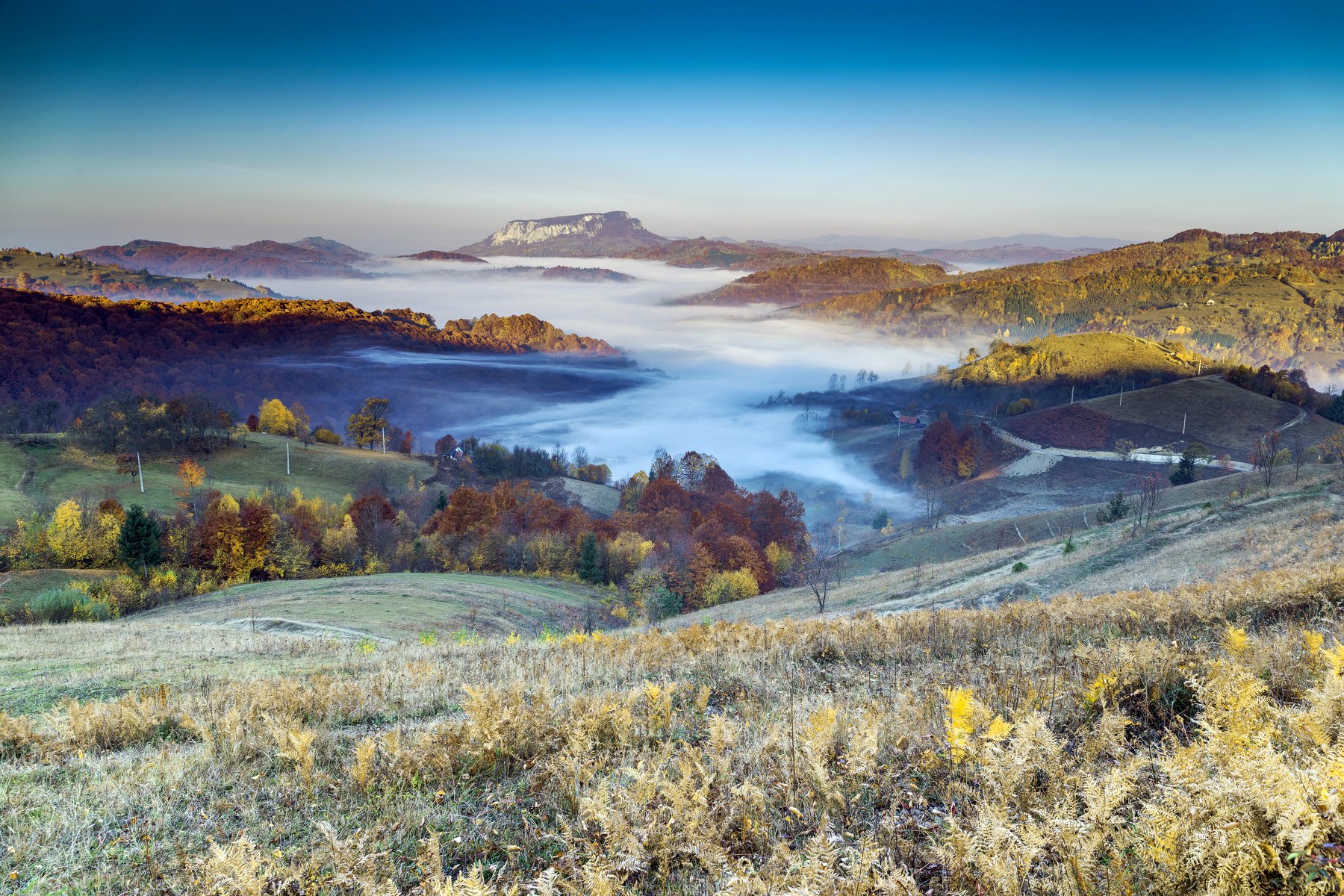 morning,mist,fog,colors,apuseni,romania,autumn,fall,, Marius Turc