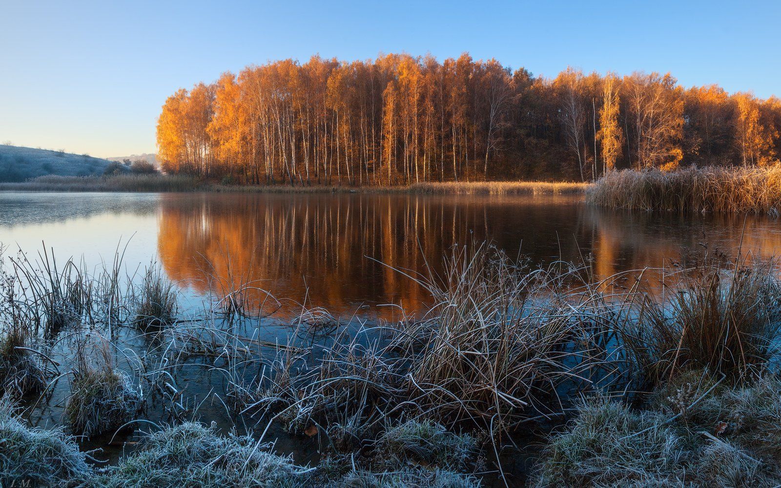 autumn, trees, landscape, sunrise, morning, lake, frozen, reflections, water, nature, light, grass, colors, panorama, pond, countryside, frost, outdoors, first, wide angle, осень, рассвет, заморозки, березки, деревья, панорама, I'M