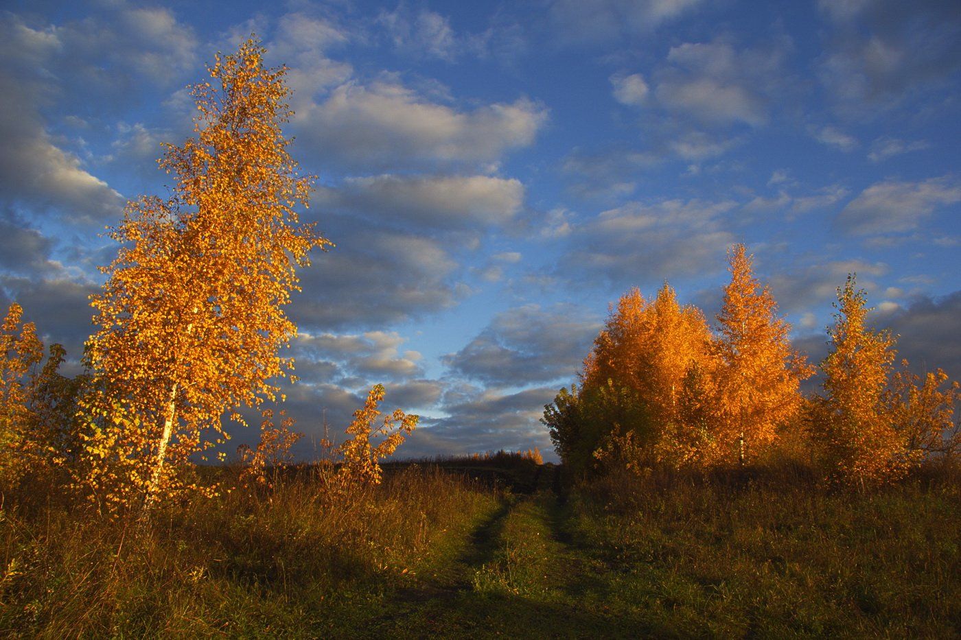 Пейзаж,золотая осень , Каранов Николай
