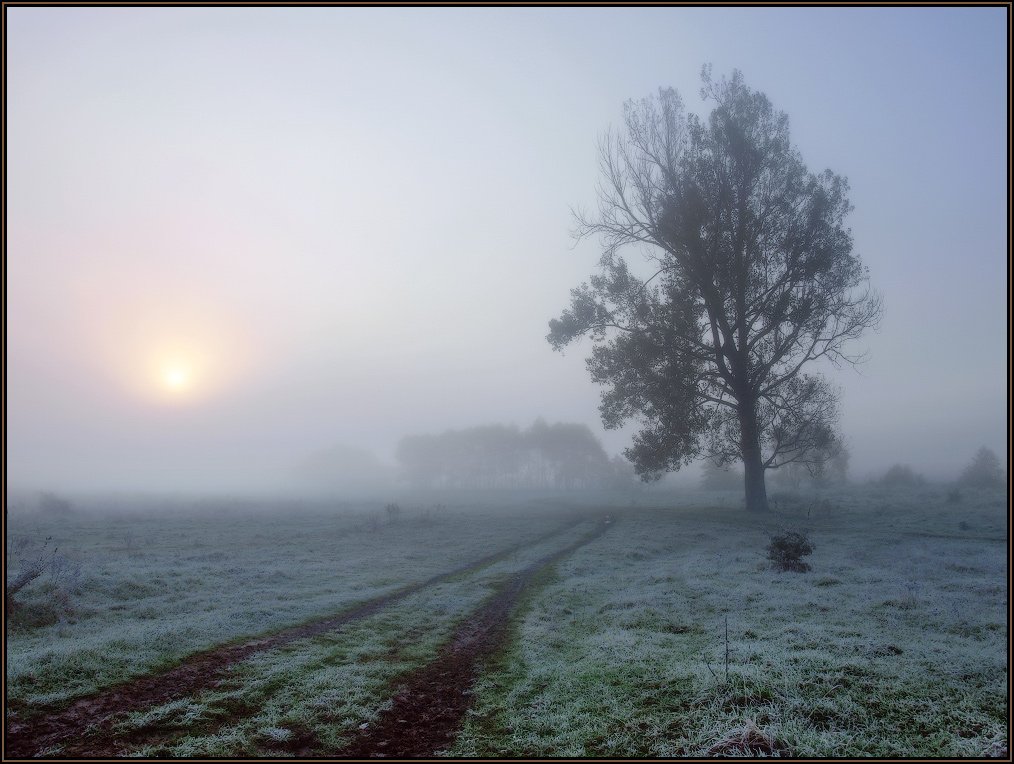 осень, утро, мороз, иней, дерево, дорога, солнце, туман, Владимир