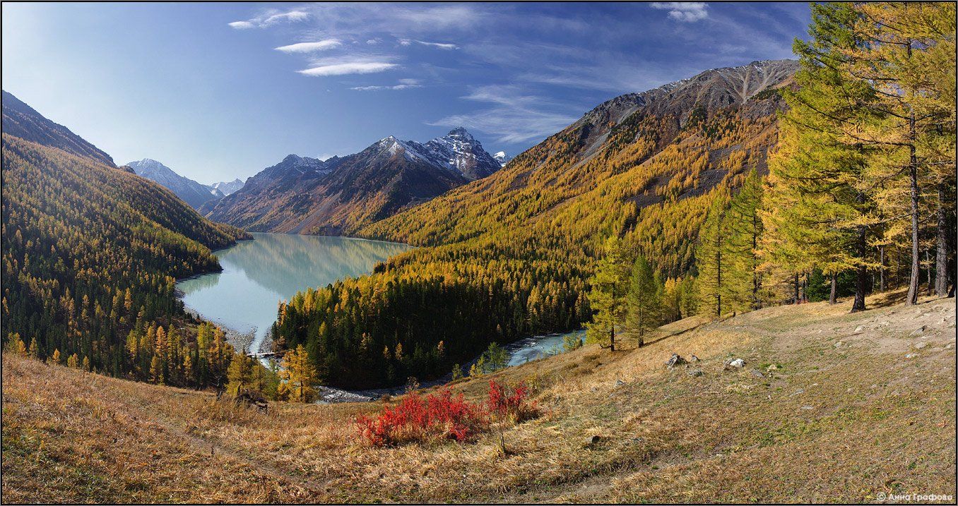 алтай, горы, горный алтай, кучерлинское озеро, осень, аня графова, Аня Графова