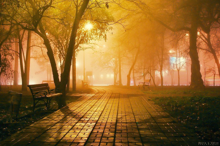 туман, город, парк, anita pila
