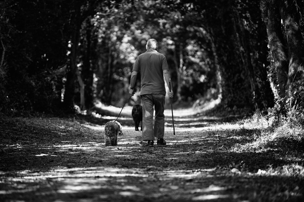 собака, мужчина, тропинка, парк, прогулка, Konstantin Maskalenko
